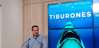 “Tiburones” en Hermosillo: conoce la exposición que llegará a MUSAS