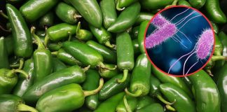 CDC alertan por brote de salmonela ligado a jalapeños de México; hay 345 casos y 36 hospitalizados CDC alertan por brote de salmonela ligado a jalapeños de México; hay 345 casos y 36 hospitalizados