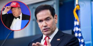Irán jamás ha enfrentado un presidente como Trump: Marco Rubio