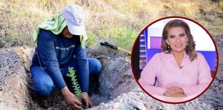 Lorenia Valles destaca reforestación nacional: “Es pensar en el presente y el futuro”