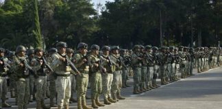 Activa gobierno federal operativo para proteger el aguacate en Michoacán; despliegan 9 mil 500 elementos Activa gobierno federal operativo para proteger el aguacate en Michoacán; despliegan 9 mil 500 elementos