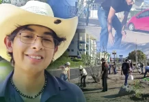 Joven hermosillense crea “HermoVerde” para combatir el calor extremo mediante la reforestación