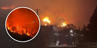 Incendio forestal obliga a evacuar a más de 20 mil personas en Columbia Británica
