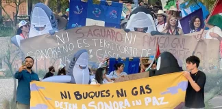 Marchan ambientalistas en Hermosillo contra plantas de gas Saguaro y Amigo en Sonora; acusan que afectarán Golfo de California