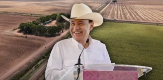Sonora dispara su producción del campo: actividades primarias crecen 12.6% y lideran la región norte del país