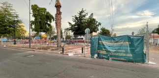 Avanzan trabajos de rehabilitación del camellón 5 en bulevar Hidalgo en Hermosillo