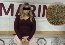 Vinculan a proceso en Sonora a estadounidense acusada de introducir 5 mil 445 cartuchos a México