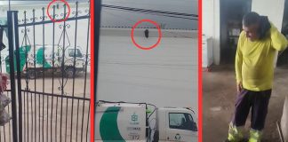 Abejas atacan a trabajador de Tecmed durante recolección de basura en Ciudad Obregón