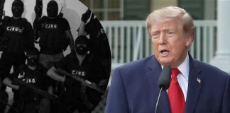 Trump señala a México por violencia de cárteles, pero destaca avances en seguridad