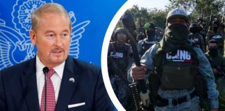 “México soberano y libre de cárteles”: el mensaje de Ronald Johnson sobre la cooperación con EEUU