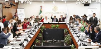 Senado ajusta artículo de la llamada “Ley Antimemes”; oposición pide proteger sátira y periodismo