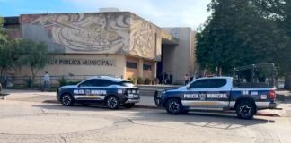 Localizan sin vida a vigilante de biblioteca pública en Ciudad Obregón