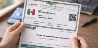 ¿Cómo descargar la CURP gratis y en PDF? Sigue estos pasos desde casa ¿Cómo descargar la CURP gratis y en PDF? Sigue estos pasos desde casa