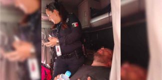 Hombre es picado por un alacrán mientras dormía en Hermosillo Hombre es picado por un alacrán mientras dormía en Hermosillo