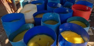 Inhabilitan tres laboratorios clandestinos de drogas sintéticas en Sinaloa; aseguran más de 16 toneladas de metanfetamina