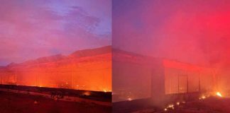 Incendio en granja avícola de Nayarit deja al menos 7 mil pollos calcinados Incendio en granja avícola de Nayarit deja al menos 7 mil pollos calcinados