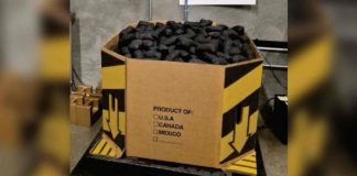 Hallan más de 275 kilos de metanfetamina escondidos en bolsas de carbón en Nogales Hallan más de 275 kilos de metanfetamina escondidos en bolsas de carbón en Nogales