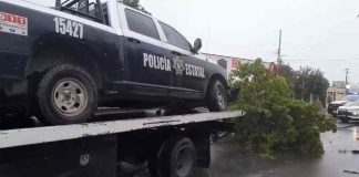 Patrulla de la PESP pierde el control y derriba árbol al norte de Hermosillo Patrulla de la PESP pierde el control y derriba árbol al norte de Hermosillo