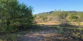 Madres Buscadoras localizan osamenta y restos humanos al surponiente de Hermosillo