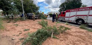 Fuerte choque deja a una mujer lesionada al norte de Hermosillo; uno de los autos se impactó contra un árbol Fuerte choque deja a una mujer lesionada al norte de Hermosillo; uno de los autos se impactó contra un árbol