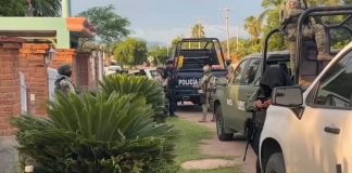 Hallan sin vida a David Ramírez, síndico de Tepuche, Sinaloa; horas antes asesinan a su hermano en agresión armada Hallan sin vida a David Ramírez, síndico de Tepuche, Sinaloa; horas antes asesinan a su hermano en agresión armada