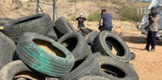 “Llantatón por nuestra Salud” llega a colonia Palo Verde en Hermosillo: así puedes participar "Llantatón por nuestra Salud" llega a colonia Palo Verde en Hermosillo: así puedes participar