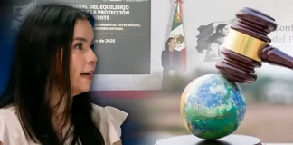 Nueva ley ambiental tiene huecos para construir primero y regularizar después: Karla Estrella