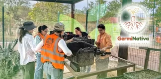GermiNativa: Invitan a propagar plantas nativas para combatir el calor en Hermosillo