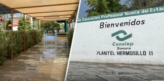 Conalep Sonora confirma regreso a clases este 2 de septiembre tras suspensión por “procesos administrativos”