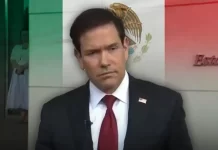 En México existen "vastos territorios" controlados por organizaciones "narcoterroristas", afirma Marco Rubio
