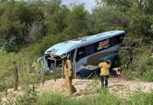 Autobús de pasajeros sale de ruta tras ataque de enjambre de abejas en carretera Altar-Santa Ana