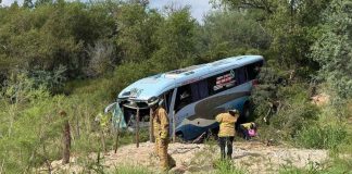 Autobús de pasajeros sale de ruta tras ataque de enjambre de abejas en carretera Altar-Santa Ana