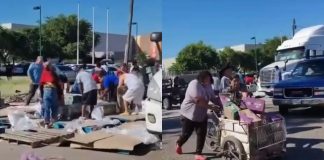 Hacen “rapiña” de litros de leche tras accidente de tráiler en Ciudad Obregón Hacen “rapiña” de litros de leche tras accidente de tráiler en Ciudad Obregón