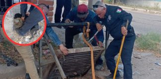 Rescatan a perro atrapado cinco días en una alcantarilla al surponiente de Hermosillo Rescatan a perro atrapado cinco días en una alcantarilla al surponiente de Hermosillo
