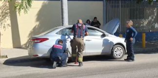 Rescatan a gatito atrapado en un automóvil en Hermosillo; su rescatista lo adoptó