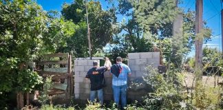 Tras el huracán Polo, Gobierno de Sonora evalúa daños en 514 viviendas de Navojoa