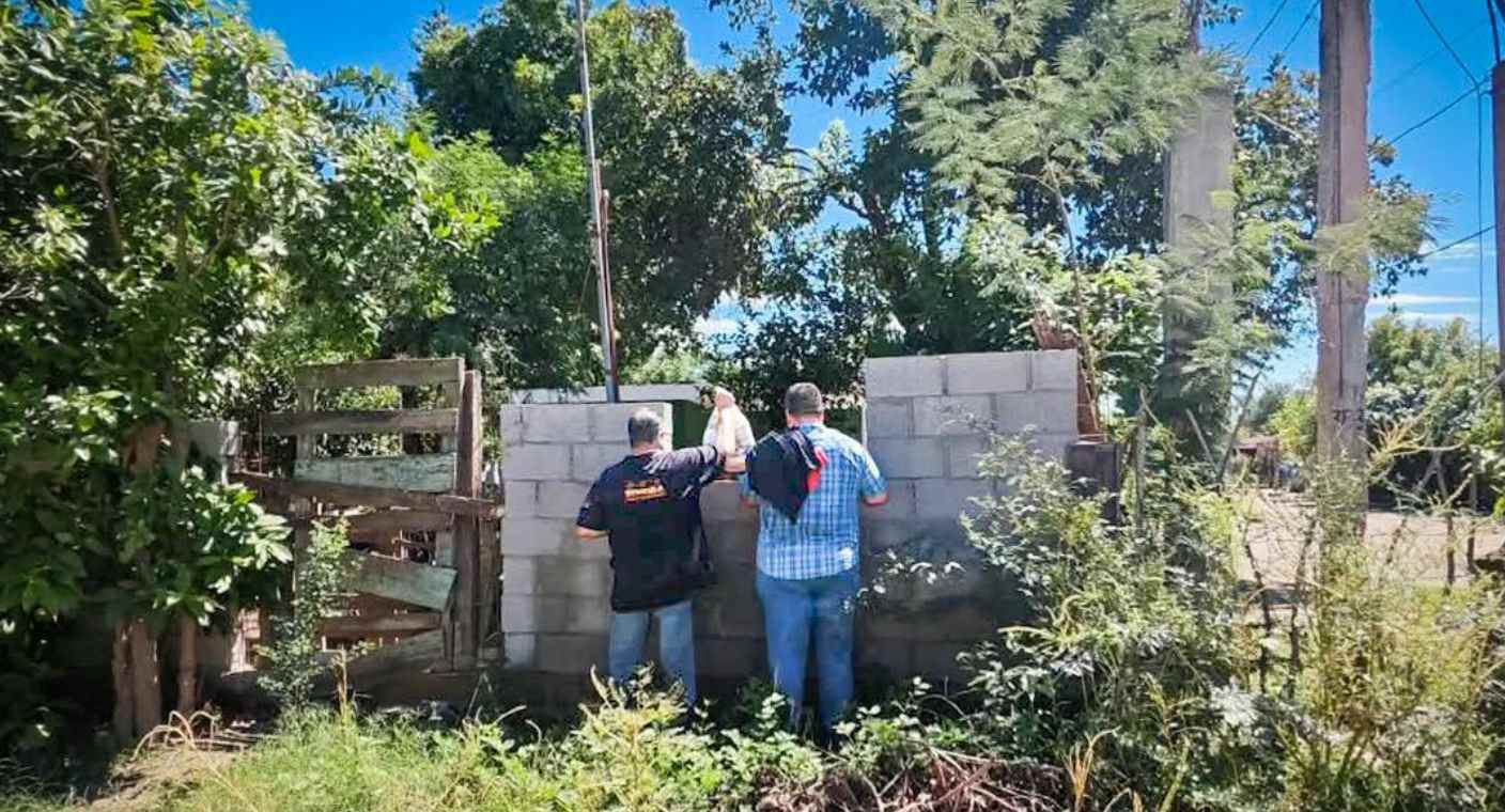 proyectopuente