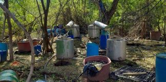 Inhabilitan laboratorio clandestino en Sinaloa; aseguran químicos y equipo para drogas sintéticas Inhabilitan laboratorio clandestino en Sinaloa; aseguran químicos y equipo para drogas sintéticas