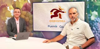 ¿Cuánto influye el clima en una buena cosecha de vino? Wineosfera explica su impacto