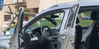 Rama de árbol atraviesa parabrisas de camioneta en Hermosillo; conductora resulta ilesa Rama de árbol atraviesa parabrisas de camioneta en Hermosillo; conductora resulta ilesa