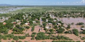 Huracán Polo deja 367 viviendas en pérdida total y afecta a 600 familias en Guaymas Huracán Polo deja 367 viviendas en pérdida total y afecta a 600 familias en Guaymas