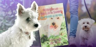 Escritora sonorense presentará libro sobre el duelo por las mascotas; donará 50% de las ventas a ‘Salvando Lomitos y Michis’