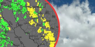 Alertan por bancos de niebla en Sonora; advierten riesgos en carreteras por baja visibilidad