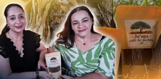 Un sabor del desierto: emprendedoras de Hermosillo transforman la péchita del mezquite en “café” y harina