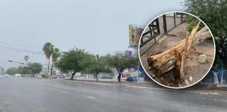 Hermosillo amanece con lluvia por segundo día consecutivo por paso de Huracán ‘Rachel’ al noroeste de México: MeteoAlert Hermosillo amanece con lluvia por segundo día consecutivo por paso de Huracán ‘Rachel’ al noroeste de México: MeteoAlert