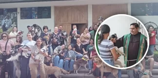 Familias cajemenses llevan con amor a sus mascotas a bendecir por el Día de San Francisco de Asís